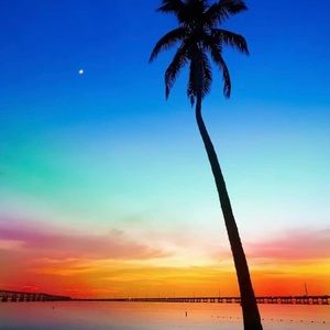 Meet your Posher, Deanna